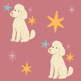 Poodle - Coleção Meu Pet