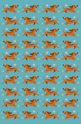 Dachshund - Coleção Meu Pet