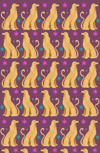 Galgo Afegão - Coleção Meu Pet