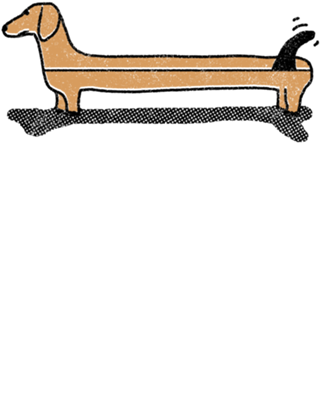 Dachsboard
