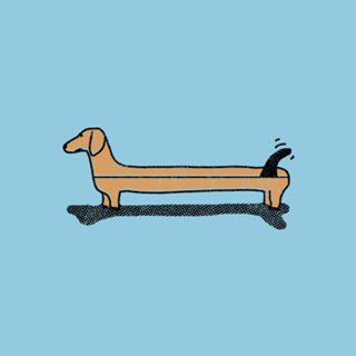 Dachsboard