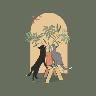 Gatos y Plantas