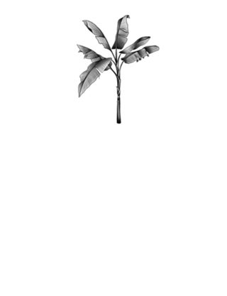 Banana02