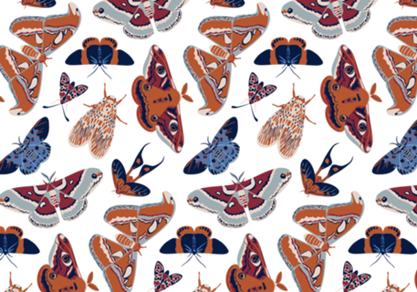 Mariposas