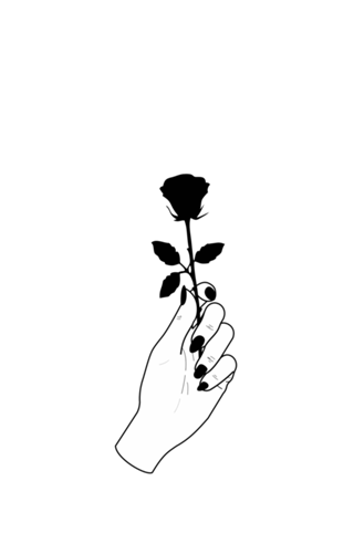 Black Rose
