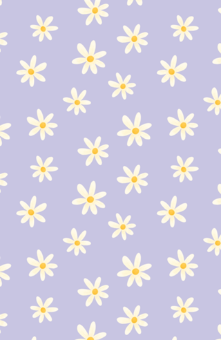 Margaridas (Lilás)