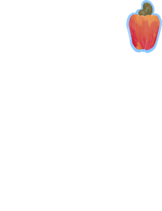 Caju