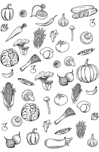 Ryouri (Culinária)