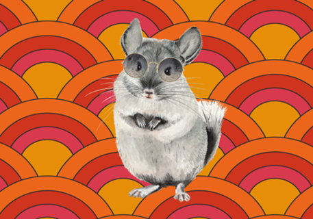 CHINCHILA JANIS JOPLIN WATERCOLOR chinchilla