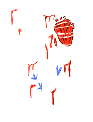 Esqueleto