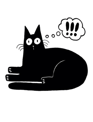 Gato preto