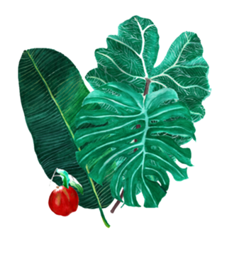 Tropicália
