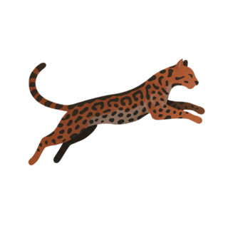 Convidado Jaguatirica