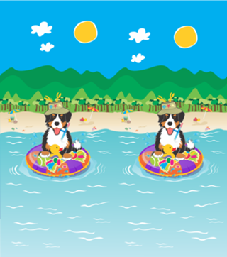 Summer Time Bernese