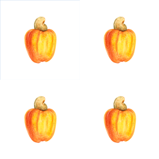 Caju