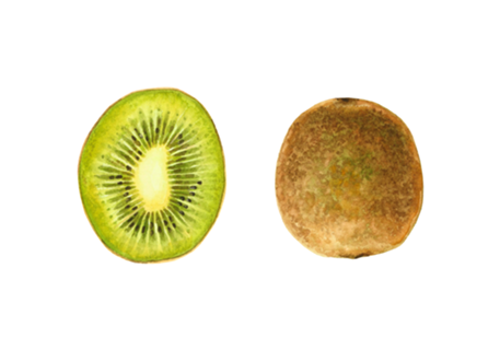 Kiwi