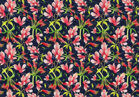 Floral Astromélias