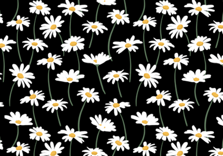 Margaridas