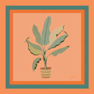 Bananeira
