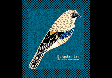 Eurasian Jay Bird (Garrulus glandarius)