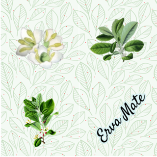 Erva Mate