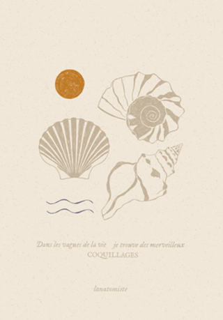 Conchas do Mar