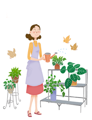 Regando plantas
