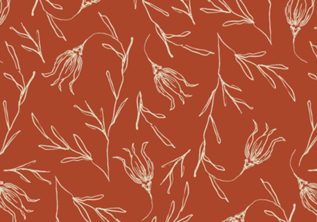 Tulipa | studio maré ✺ 2