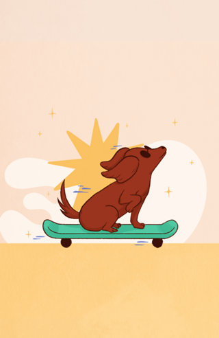 Pawride