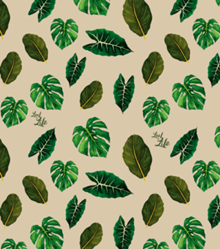 Leaf Life - Coleção 1