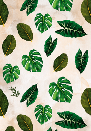 Leaf Life - Coleção 1