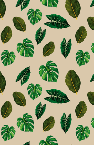 Leaf Life - Coleção 1