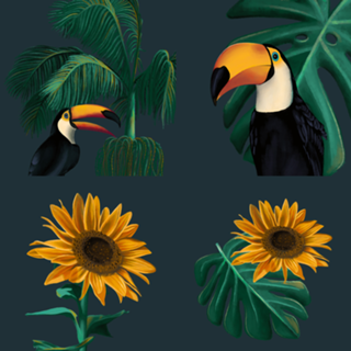 Natureza & Vida