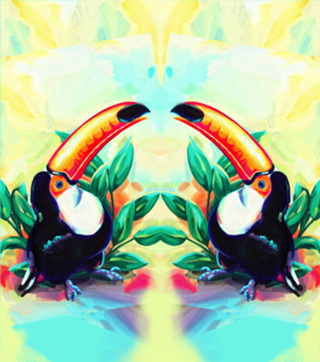 Tucano