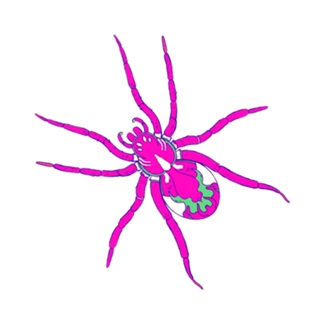 Aranha Rosa