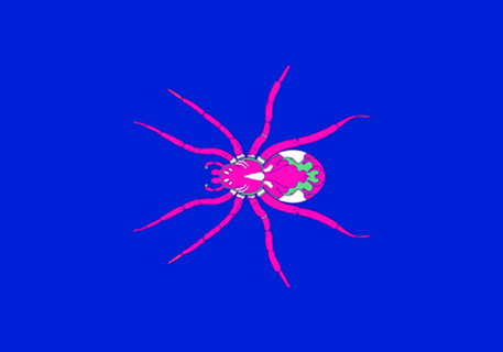 Aranha Rosa