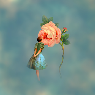 O jardim das rosas gigantes