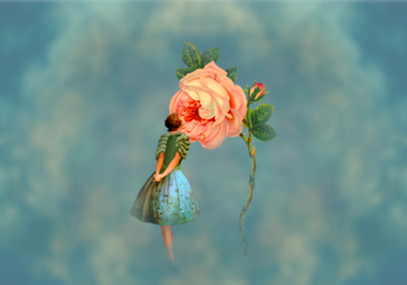 O jardim das rosas gigantes