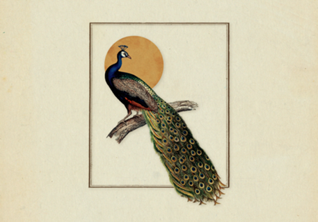 Pavão Vintage
