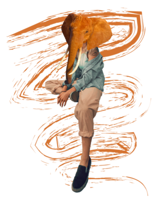 Elephant girl