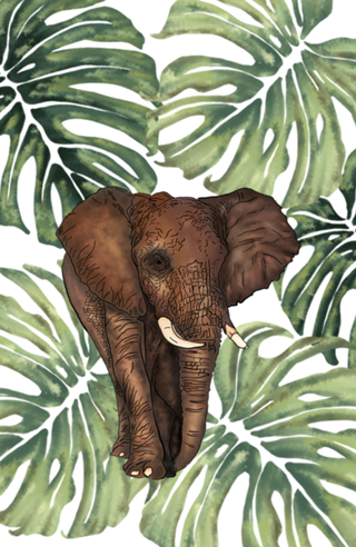 ELEFANTE