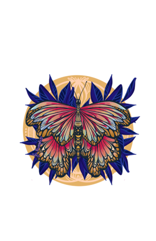 Borboleta ilustrada