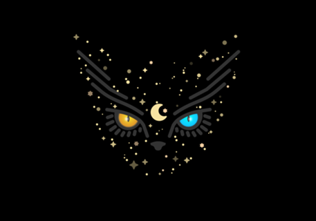 Luna Black Cat