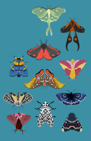 Mothparty