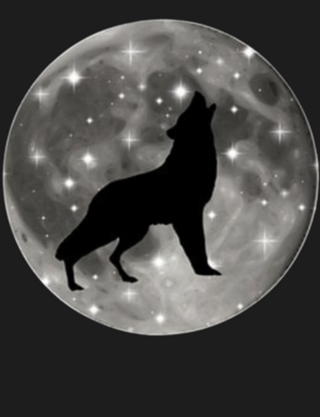 Lobo ao luar