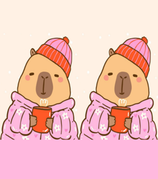 Cozy Capy