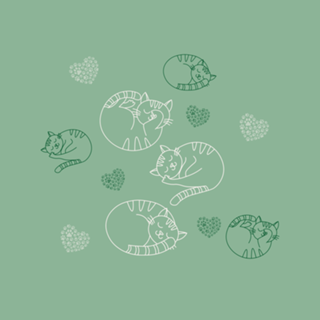 GATINHOS DORMINDO