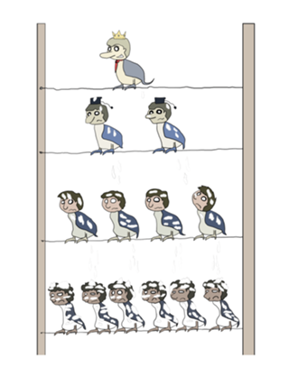 Pássaro hierarquia do poder