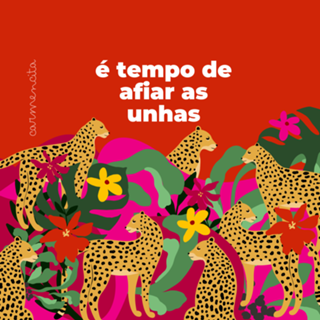 Onça no tempo de afiar as unhas