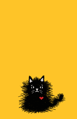 Gato Preto